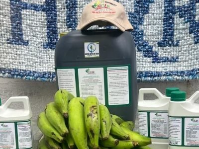 Fertilizanteorgánico-preparado