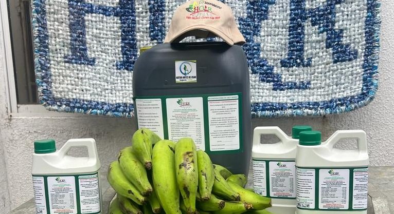 Fertilizanteorgánico-preparado