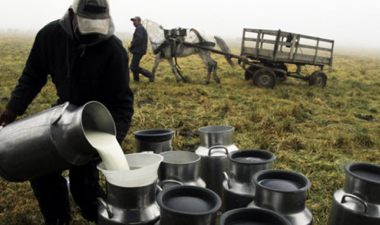 LecheenNariño-echanentanque
