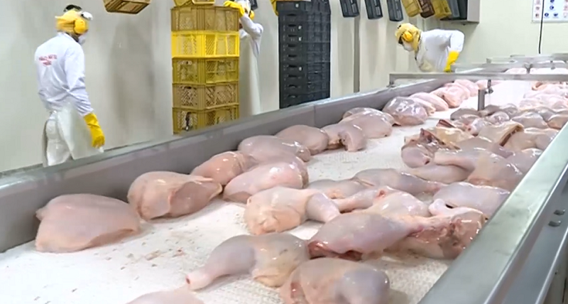 MacPollo-muslosdepollo-foto