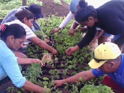 Mujerestrabajandoenvivero