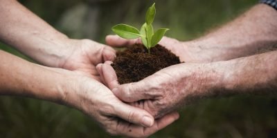 Sostenibilidadempresarial