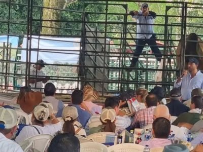 TVGAN-Subasta de ganado TVGAN (2)