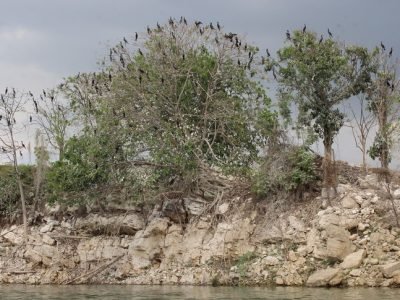 Tierralta-SaltilloLaPeña-RíoVerde (247)