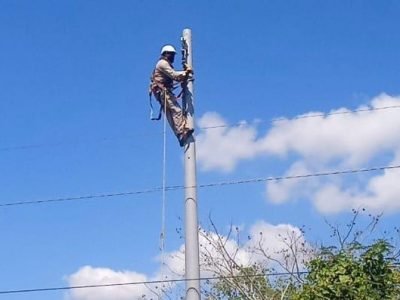 Afinia-cortesdel2al8demarzo (2)