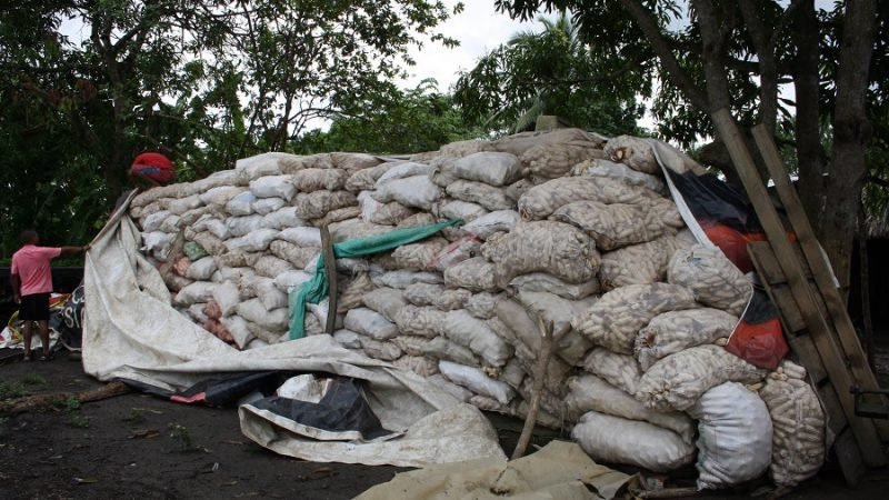 Maízguardado-tapado