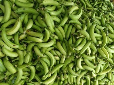 PlátanodeFedeplacor