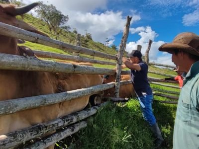 Vacunacióncontraaftosaenfrontera