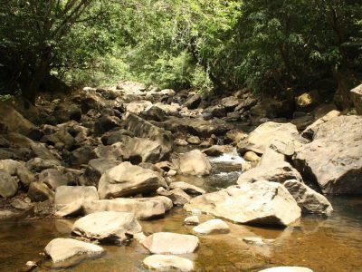 ParqueParamillo-Fuentedeagua