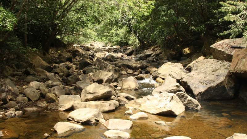 ParqueParamillo-Fuentedeagua