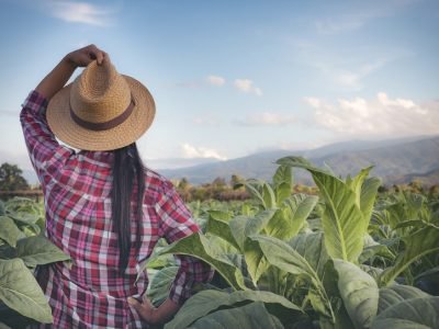 MujerruralenColombia-1.